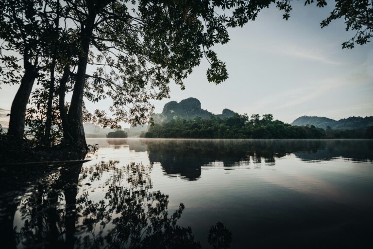 découvrez les meilleures vidéos de pétanque sur youtube avec des conseils, des compétitions, et des moments forts. abonnez-vous pour ne rien manquer !